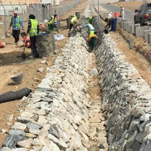 normal_61a2caafcb0e5